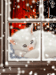 pic for cat  